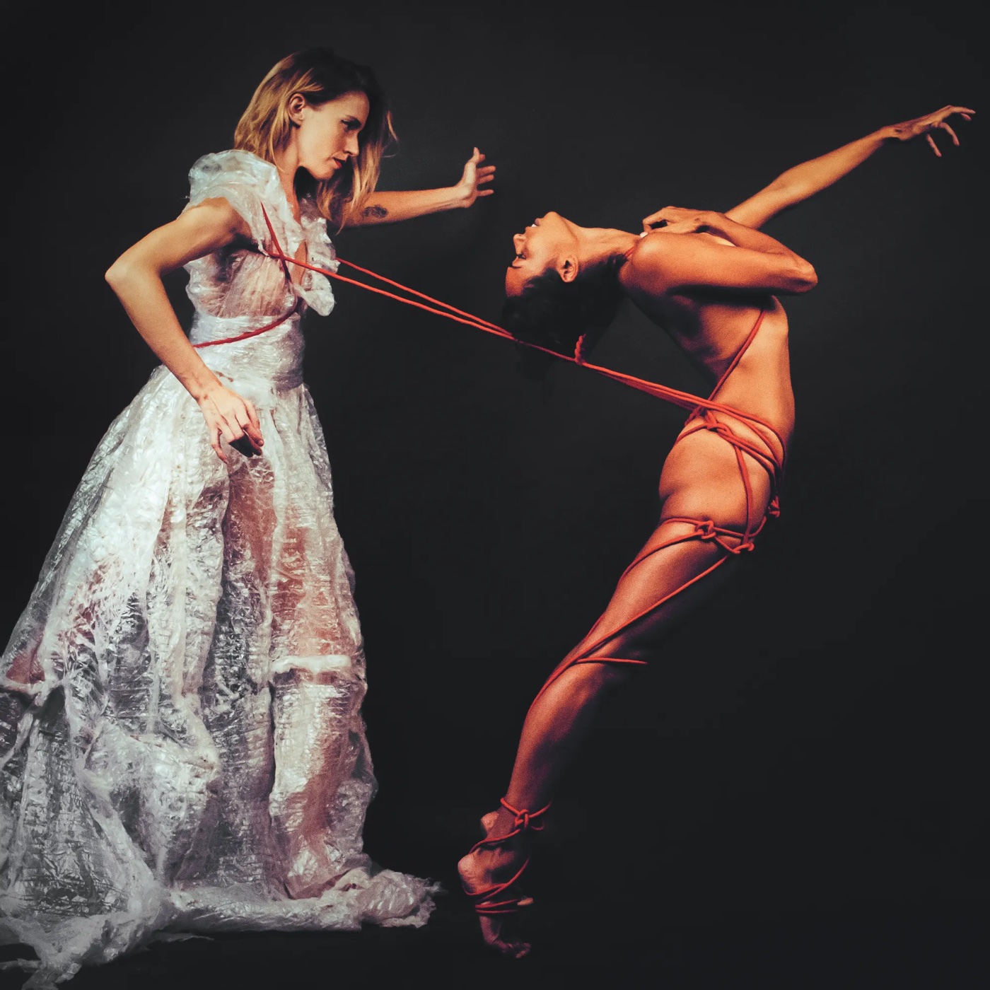 Resonant Bodies