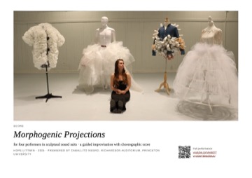 Morphogenic Projections, photo 1