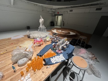 Morphogenic Projections, photo 1