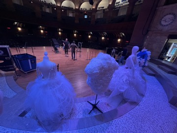 Morphogenic Projections, photo 3