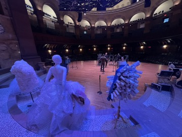 Morphogenic Projections, photo 5